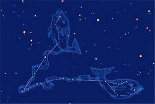 哪个星座男深爱双鱼女 哪个星座男最爱双鱼女 --第1张