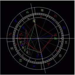 如何判断金星星座的真假--第1张