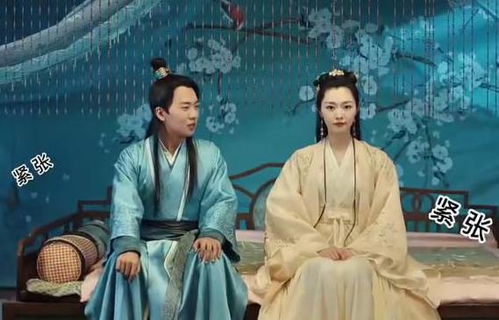 赘婿叶尘大结局是什么样子_赘婿小说主角叶辰--第1张