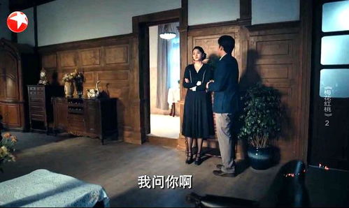 免费观看精彩剧集，一部引人入胜的136集电视剧--第1张