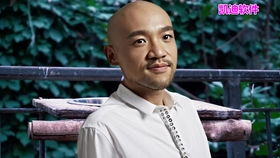 经典老歌100首怀旧连播之00年代篇--第1张