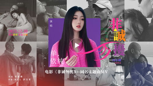 非诚勿扰3，寻找真爱之旅--第1张