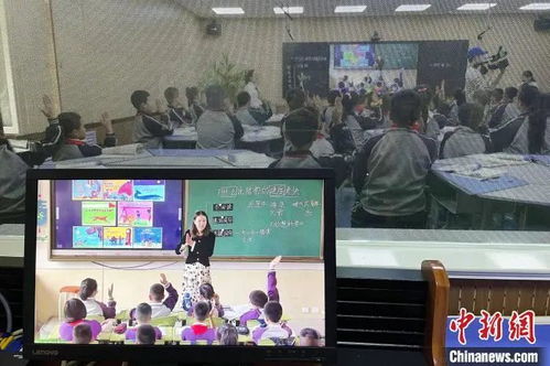 女教师遭网课入侵，隐私被曝光，视频大全引发热议--第1张