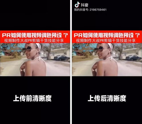 所有视频大全在线观看，探索高质量视频的无限可能--第1张