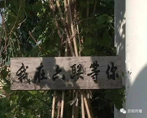 七里香社区在线看 伊人春色 --第1张
