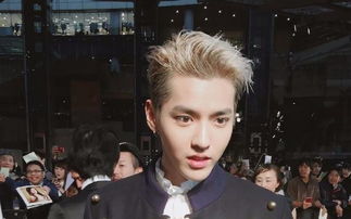吴亦凡出演过的电视剧独步天下--第1张