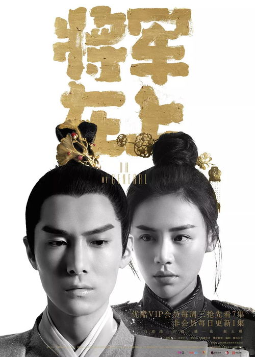 将军在上免费全集在线观看，一部热门影视的精彩体验--第1张