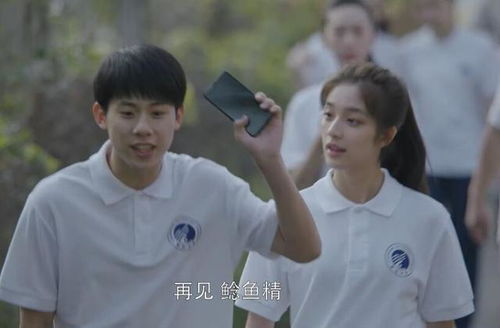 小欢喜，高考之路--第1张