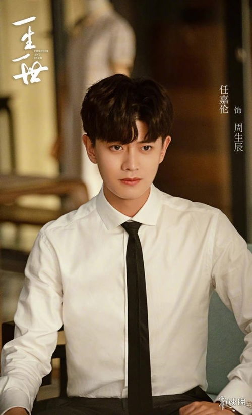 一生一世免费完整版在线观看，电视剧一生世在线播放--第1张