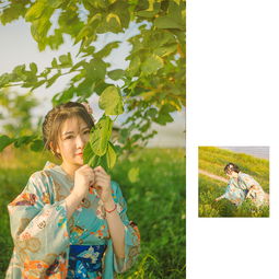青青河边草免费观看西瓜动漫，青青河边草的美丽与哀愁--第1张
