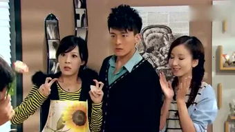 爱情公寓4，免费观看完整版在线观看--第1张