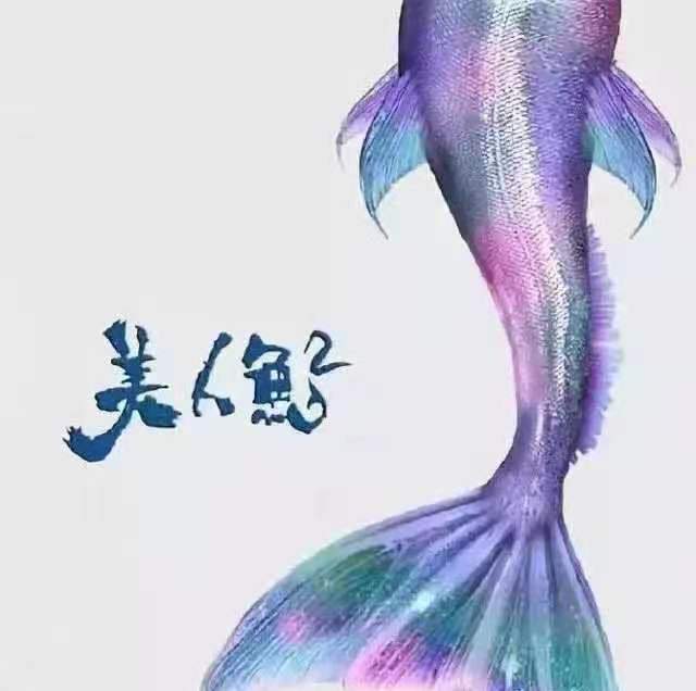 美人鱼2 美人鱼2在线观看完整免费 --第1张