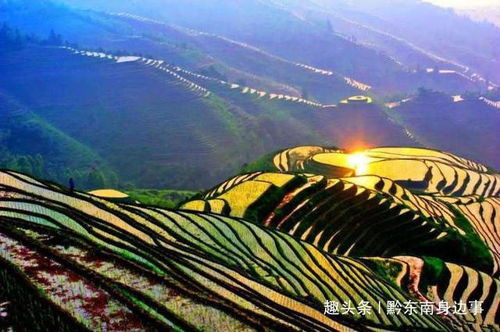 探索无限的知识与乐趣，らだ天堂中文在线--第1张