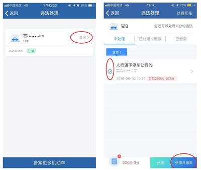 车辆违章查询处理,车辆违章查询直接输入车牌号