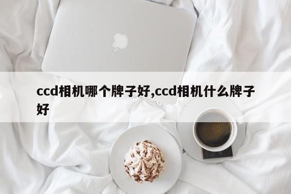 ccd相机哪个牌子好,ccd相机什么牌子好