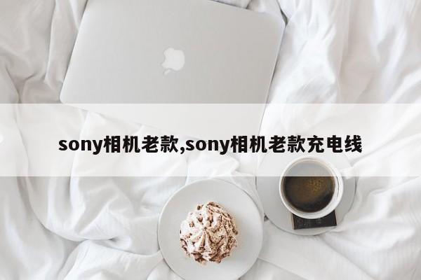 sony相机老款,sony相机老款充电线