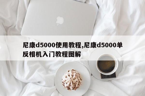 尼康d5000使用教程,尼康d5000单反相机入门教程图解