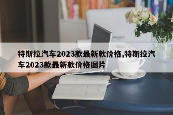 特斯拉汽车2023款最新款价格,特斯拉汽车2023款最新款价格图片