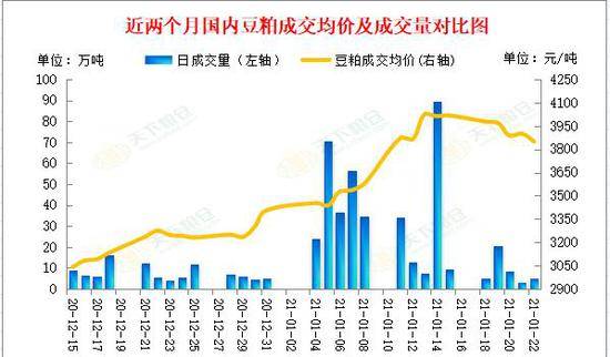 美豆市场低位震荡：新作顺利与南美需求强劲共舞