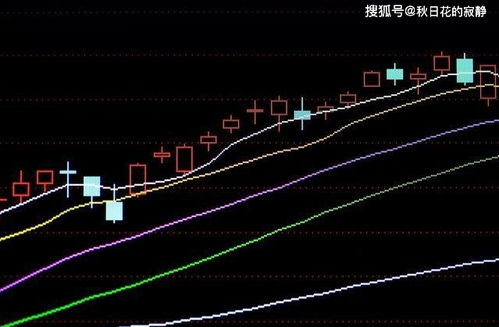 股票股利所得确定：股票股利如何确定所得