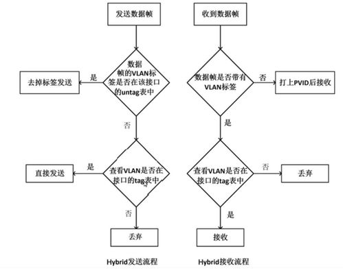 华为交换机配置vlan，华为交换机配置vlan显示down