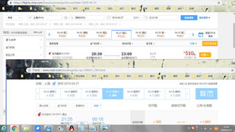 机票查询携程网上订票，机票查询携程网上订票特价机票