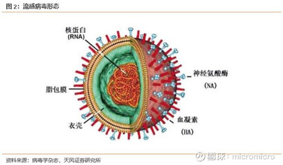 投资病毒的知识，投放病毒