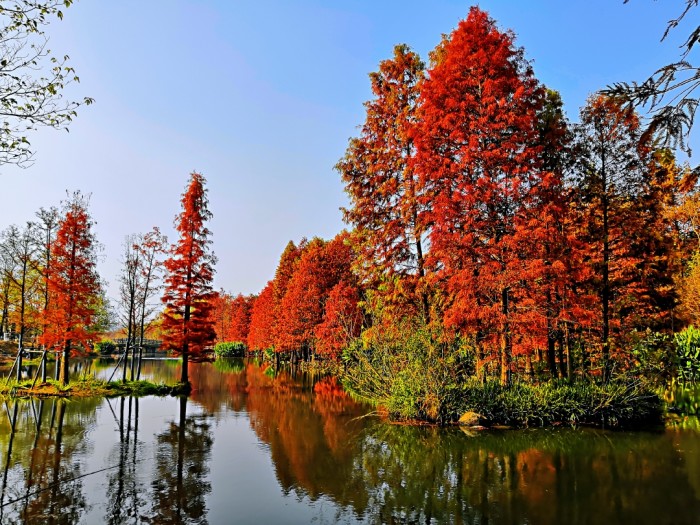 哪里的风景最美，瑞士哪里的风景最美