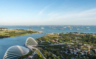新加坡广州知识城投资，中新广州知识城投资多少