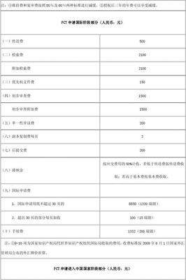 浦东新区投资知识产权费用，浦东知识产权保护中心主任