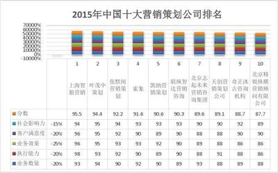 营销策划有限公司是什么单位性质，营销策划有限公司是干嘛的