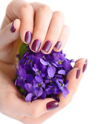 紫色紫罗兰的花语和寓意，不同颜色紫罗兰的花语
