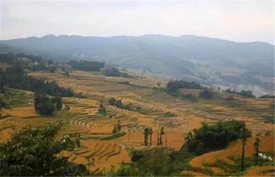 过年期间自驾游适合去哪里旅游，过年期间自驾游适合去哪里旅游好