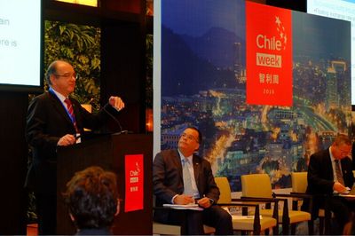 智利投资知识产权实务，智利公司