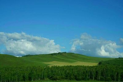 最美大草原风景图片高清，最美的草原风光图片