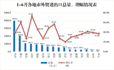 市场采购贸易方式，市场采购贸易方式试点