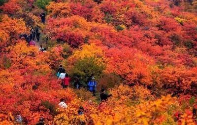 12月份最适合旅游的地方，四月份去哪里旅游合适