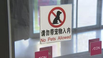 商场禁止携带宠物标语，商场不准带宠物