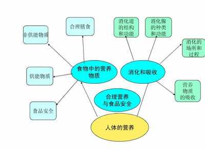 投资操作知识点总结图片，投资操作知识点总结图片大全