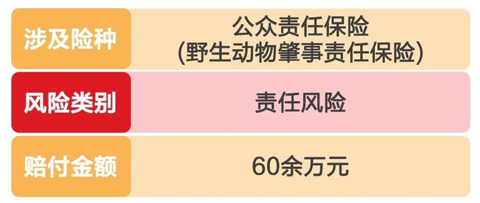 中国人寿险种介绍，中国人寿各种寿险介绍