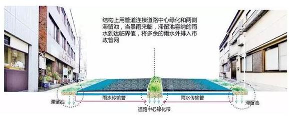 海绵城市设计图解大全，海绵城市设计图解大全图片