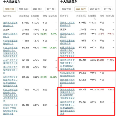 林园先生投资知识，林园的投资思路