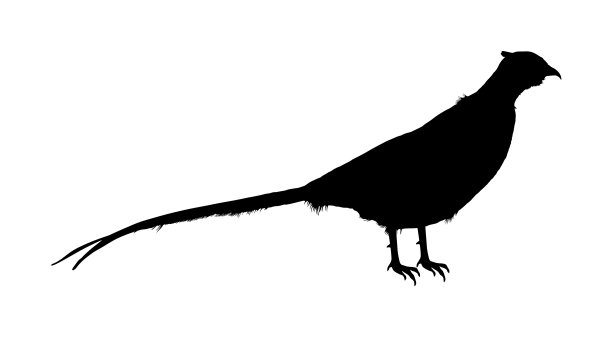 始祖鸟标志由来，始祖鸟的标志在什么衣服地方
