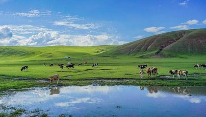 内蒙古旅游攻略及费用多少，内蒙古旅游攻略自由行路线推荐