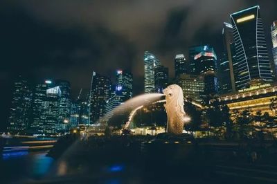 新加坡投资房产小知识大全，新加坡房产投资回报率