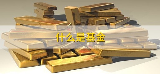 基金组合投资小知识，基金组合投资小知识点