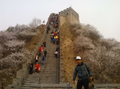 北京当地旅游团哪家好，北京当地旅游团哪家好百度贴吧