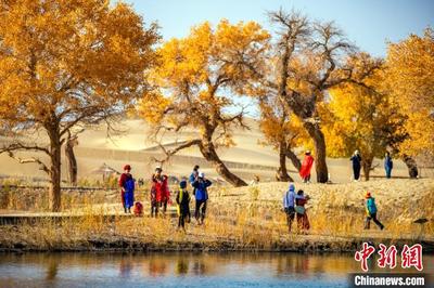 新疆最美的地方是哪里，新疆最美的地方是哪里它的特点是什么