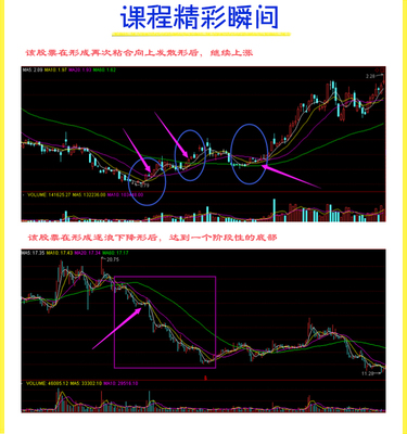 股票市场投资的基本知识，股票市场投资的基本知识是