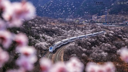 改签和退票哪个划算，改签和退票哪个划算机票